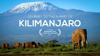 Journey to the Summit of Mount Kilimanjaro [upl. by Nort]