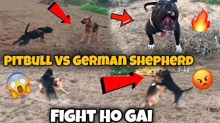 New Gsd Dog Se Mile 😍Rock Ko Aggressive Gsd Se Milvaya 😱 Fight Ho Gyi 😰 Pitbull Vs Gsd real fight [upl. by Oine309]