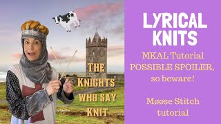 Lyrical Knits How to Work a Moose Stitch for The Knights Who Say Knit mkal [upl. by Annatsirhc]