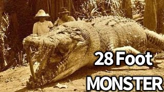 Super Crocs Giant Crocodile Documentary [upl. by Larrej]