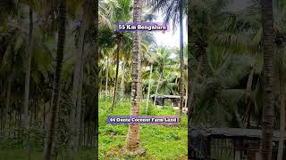 44 Gunte Coconut Farm Land Old House Storage Shed 2 Borewell70 Coconut treesSale in Channapatna [upl. by Enelyaj]