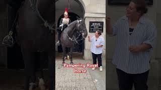 Pampering royal horse london buckinghampalace tourist horse kingsguard fyp fypage [upl. by Lindholm]