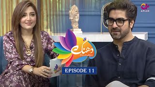 Dhanak Episode 11  Syed Ali Haider  Hadiya Hashmi [upl. by Laurianne]