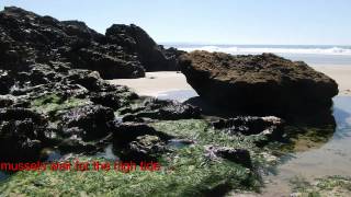 Walk along the beach from Chapel Porth to Porthtowan in Cornwall [upl. by Aveer564]