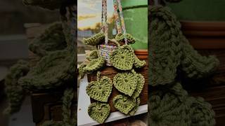 🌿crochet plants last forever✨🪴 confetti string of hearts plant 🌱 [upl. by Suiravaj692]