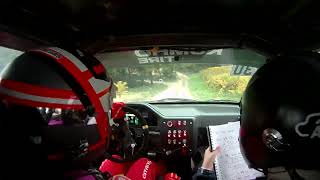 Rallye Terre du Vaucluse 2024  ES2  GendrauDarras  106 F212 [upl. by Notslar]