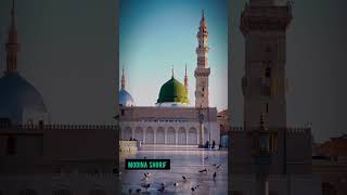 viralvideo masjidalharambeautifulview viralvideo shortvideo shorts modina modinarazan [upl. by Krawczyk]