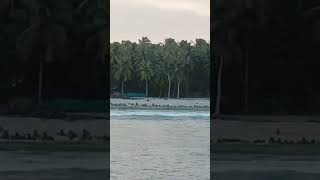 View of kavarati island from eastern jetty lakshadweep latest video viralshorts kavaratti [upl. by Nosilla]