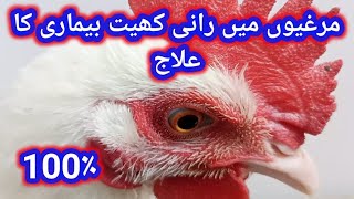 murgiyon mein Ranikhet ka ilaajColdFever Flu Treatment Medication For Chickens100 guarantee ilaj [upl. by Asiul763]