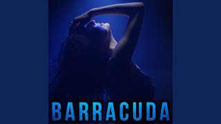 Barracuda Cover [upl. by Ijic87]