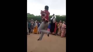 Culture et Tradition Africaine  Danse Traditionnelle Danse traditionnelle des peuples du sahel [upl. by Adleme]