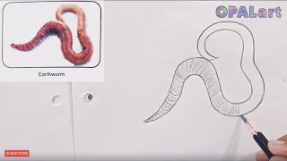 9th PB Biology Diagram 17Earthworm [upl. by Htenywg929]