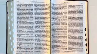 4 ROMANS BIBLE READING HEALING SCRIPTURE [upl. by Opportuna]