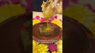 Easy amp Simple Daily Ganapathy Homam is in your space with Greymode Maadu Uruli  Try it [upl. by Lattimer]