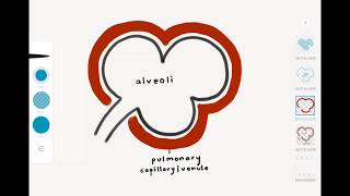 Pulmonary Edema [upl. by Travus]