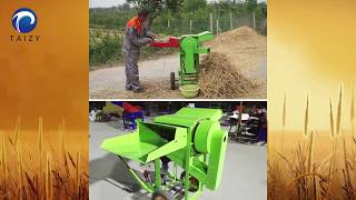 home use machine for farmer Mini wheat rice thresher  millet beans sorghum threshing machine [upl. by Noyrb202]