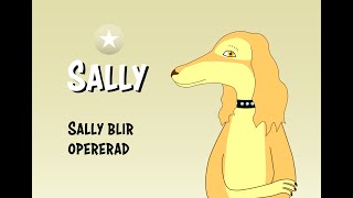 Sally blir opererad [upl. by Atteve337]