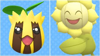 FULL SUNKERN EVOLUTION TEAM Shiny Sunkern Shiny Sunflora  How To Use Sunflora [upl. by Wendeline940]