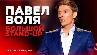 Павел Воля  Большой Stand Up в Crocus City Hall 2014 [upl. by Anailil946]