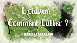 LOidium  Cest quoi comment lutter contre [upl. by Bently]