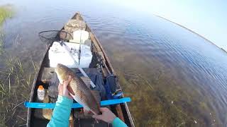 Steinhatchee Memorial Day Creek Trip [upl. by Tonkin468]