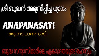 ANAPANASATHI MEDITATION IN MALAYALAM  GUIDED BREATH AWARENESS MEDITATION  BUDDHA MEDITATION [upl. by Llerruj]