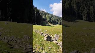 Untouched beauty of Kashmir Hamin ast Location  reels kashmir nature viralvideo [upl. by Nosduh356]