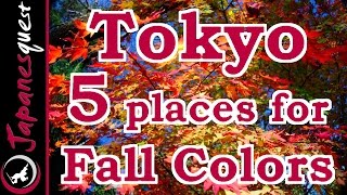 Top 5 Places to See the Fall Colors of Tokyo [upl. by Sillig]