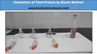 Estimation of Total Protein by Biuret Method  Total Protein Estimation  Biochemistry Practical [upl. by Aitsirhc241]