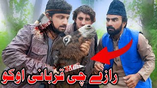 Razai Che Qurbani Aoko Funny Video By Takar Vines 2022 New Eid Special Gift [upl. by Yetsirhc364]