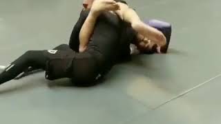 jiu jitsu no gi armbar transicion triangulo invertido kimura [upl. by Mick]