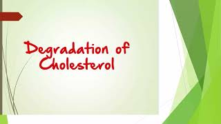 Cholesterol Metabolism  Department of Biochemistry  Santhiram Medical College [upl. by Yerocaj667]