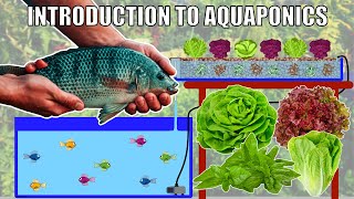 FREE Introduction To Aquaponics Webinar [upl. by Aniraz339]