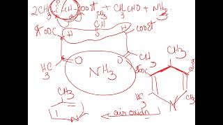 English 6membered heterocyclic compounds [upl. by Nitsrik621]