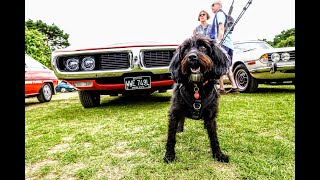 Harpenden Car Show 24th July 2024 Part 1 [upl. by Ynetruoc]