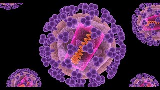 Mathematical Modeling of CTLs Dynamics in HIV Antiretro Viral Therapy Interms of LotkaVolterra [upl. by Aneram170]