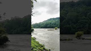 River Flow  Athirappally waterfalls  Bethania Resort [upl. by Ollehcram110]