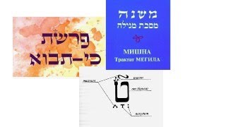 Torah Chapter Ki Tawo Mishnah Megillah Zohar about taamim [upl. by Suzi]