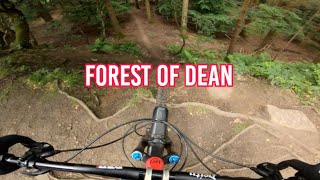 MTB forest of dean [upl. by Evita]