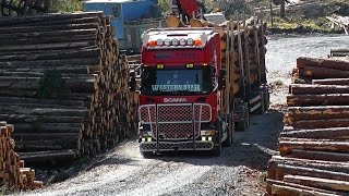 Scania R500 Timber Truck \8 Sound [upl. by Lamprey]