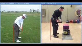 Clives Smash Bag Swing Comparison with Rod Pampling [upl. by Swagerty]