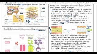 73La structure et lultrastructure de la membrane cytoplasmique [upl. by Hteb]