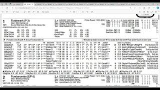 2024 Fayette Stakes Analysis and Picks  Keeneland [upl. by Mapes]