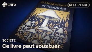 Un livre écrit par lIA qui pourrait être dangereux [upl. by Jolanta]