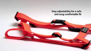 Dog Collars Leads amp Harnesses  Reflective WalkrCise Range [upl. by Ahsemad9]