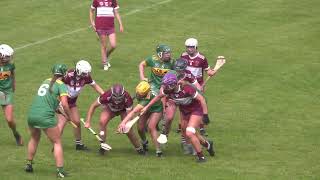 Feis Cup Senior camogie final 2024 [upl. by Bonina386]