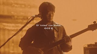 쏜애플THORNAPPLE 파리의 왕 EP Animal Live Session [upl. by Smalley85]