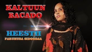 KALTUUN BACADO  FARUHUBA SIDOODA  OFFICIAL VIDEO [upl. by Aryt]