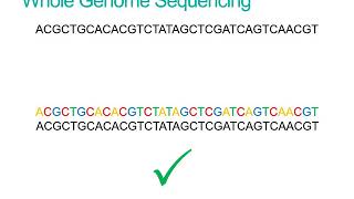 What is Whole Genome Sequencing [upl. by Cort]