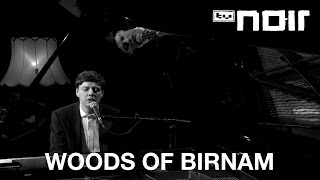 Woods Of Birnam  Woods Of Birnam live bei TV Noir [upl. by Lanae390]